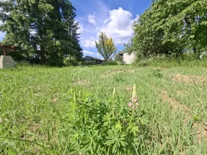 Prodej pozemku pro bydlení, Alojzov, 2345 m2