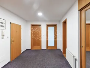 Pronájem bytu 3+1, Praha - Nové Město, Spálená, 127 m2