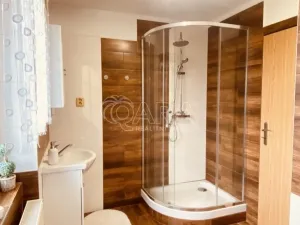 Prodej rodinného domu, Věšín, 264 m2