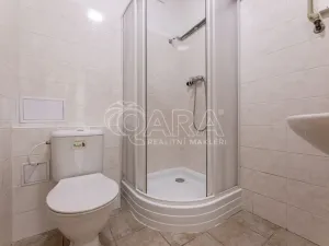 Pronájem bytu 1+kk, Praha - Vinohrady, 24 m2