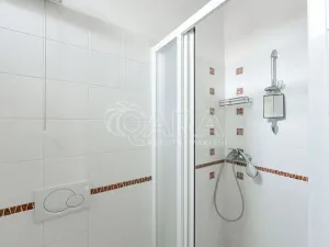 Pronájem bytu 3+kk, Praha - Žižkov, Jeronýmova, 66 m2