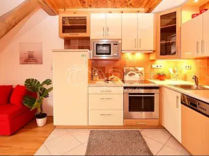 Pronájem bytu 2+kk, Praha - Bubeneč, Národní obrany, 53 m2