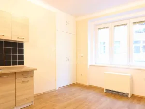 Pronájem bytu 2+kk, Praha - Dejvice, Koulova, 40 m2
