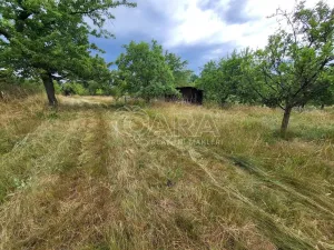 Prodej pozemku pro bydlení, Zdechovice, 2142 m2