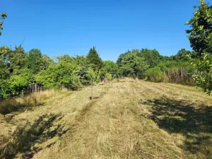 Prodej pozemku pro bydlení, Zdechovice, 2142 m2