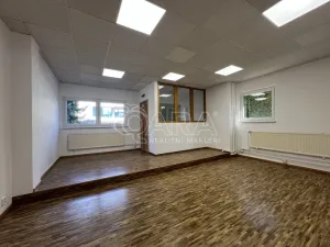 Pronájem kanceláře, Praha - Krč, Nová cesta, 122 m2