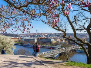 Prodej bytu 1+1, Praha - Holešovice, Jirečkova, 53 m2