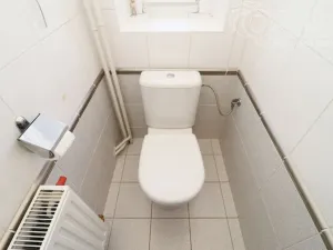 Prodej rodinného domu, Statenice - Černý Vůl, Kralupská, 210 m2