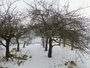 Prodej chaty, Praha, Zálužská, 16 m2