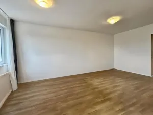 Pronájem bytu 1+1, Praha - Hloubětín, Nademlejnská, 41 m2