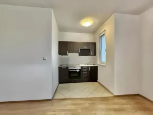 Pronájem bytu 1+1, Praha - Hloubětín, Nademlejnská, 41 m2