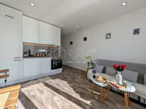 Prodej bytu 1+kk, Plzeň - Doudlevce, Šimerova, 21 m2