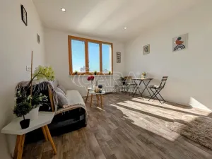 Prodej bytu 1+kk, Plzeň - Doudlevce, Šimerova, 21 m2