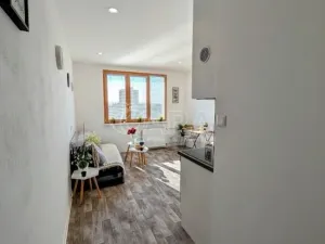 Prodej bytu 1+kk, Plzeň - Doudlevce, Šimerova, 21 m2