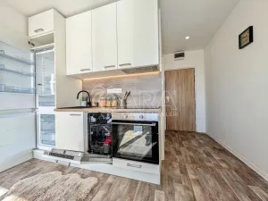 Prodej bytu 1+kk, Plzeň - Doudlevce, Šimerova, 21 m2