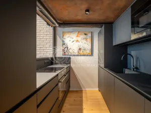 Pronájem bytu 1+kk, Praha - Holešovice, Tusarova, 53 m2