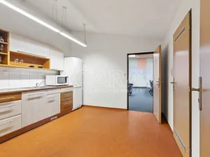 Prodej kanceláře, Praha - Petrovice, Novopetrovická, 1433 m2