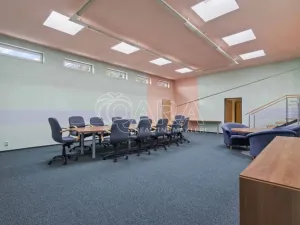 Prodej kanceláře, Praha - Petrovice, Novopetrovická, 1433 m2