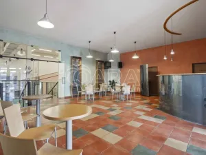 Prodej kanceláře, Praha - Petrovice, Novopetrovická, 1433 m2