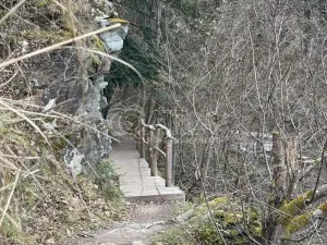 Prodej chaty, Štěchovice, 40 m2