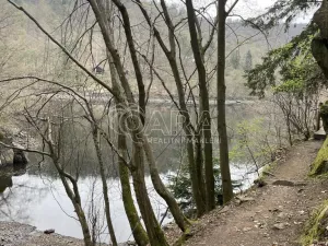 Prodej chaty, Štěchovice, 40 m2