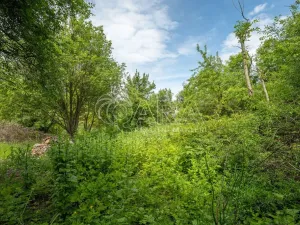 Prodej pozemku pro bydlení, Zdiby, 1049 m2