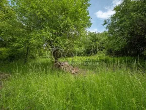 Prodej pozemku pro bydlení, Zdiby, 1049 m2