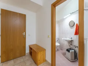 Prodej bytu 4+kk, Brno, Mojžíšova, 171 m2