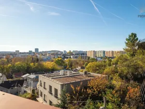 Prodej bytu 4+kk, Brno, Mojžíšova, 171 m2