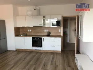 Pronájem bytu 2+kk, České Budějovice - České Budějovice 2, 57 m2