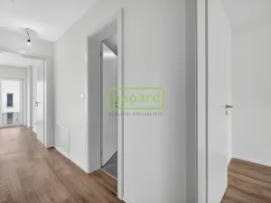 Prodej rodinného domu, Drahelčice, 157 m2