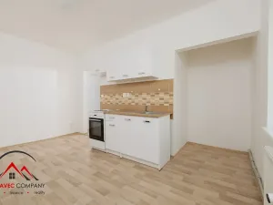 Pronájem bytu 1+1, Ostrava, Palackého, 45 m2