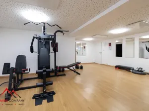 Pronájem apartmánu, Ostrava, Cihelní, 27 m2