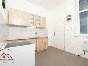 Pronájem bytu 1+1, Ostrava, Mariánskohorská, 37 m2