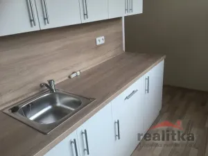 Pronájem bytu 2+1, Opava - Předměstí, Jaselská, 60 m2