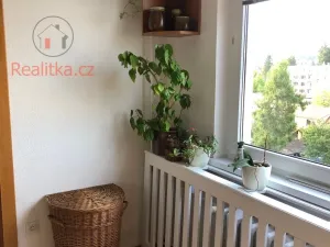 Pronájem bytu 3+1, Dvůr Králové nad Labem, Nad Parkem, 73 m2