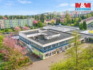 Pronájem skladu, Plzeň - Severní Předměstí, alej Svobody, 641 m2