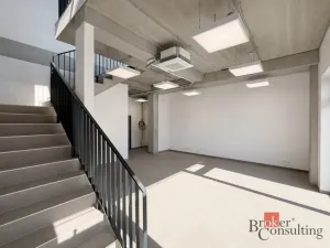 Pronájem výrobních prostor, Brno, Vinohradská, 444 m2