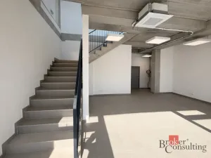 Pronájem výrobních prostor, Brno, Vinohradská, 444 m2