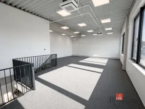 Pronájem výrobních prostor, Brno, Vinohradská, 444 m2