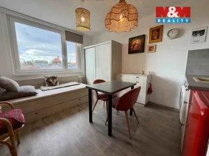 Prodej bytu 1+kk, Chomutov, Kostnická, 19 m2