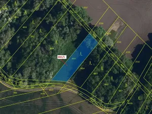 Dražba lesa, Přísnotice, 968 m2