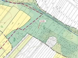 Dražba lesa, Přísnotice, 569 m2
