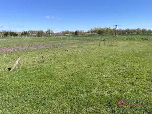 Prodej zahrady, Břeclav - Poštorná, 369 m2