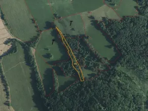 Dražba pozemku, Česká Kamenice, 5161 m2