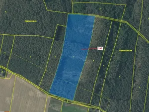 Dražba lesa, Libotenice, 33642 m2