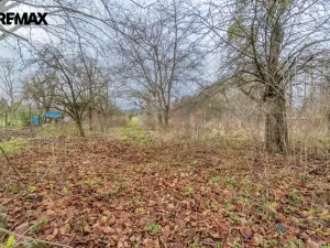 Prodej zemědělské usedlosti, Vrchotovy Janovice, 435 m2