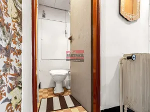 Prodej bytu 3+kk, Neplachov, 61 m2