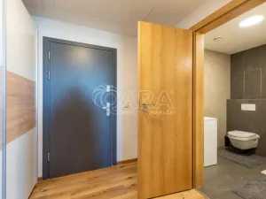 Pronájem bytu 1+kk, Brno - Židenice, Koperníkova, 35 m2