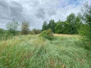 Prodej pozemku, Aš, 2675 m2